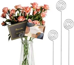 30 Pcs Floral Place Card Holder 13 Inch Floral Card Holder Picks , Metal Wire Photo Memo Holder , Round Flower Favor Card Holder For Wedding Party Birthday Office ​Cake (Silver, ​Give 30 Cards) -Generic Furniture Shop 413eEYryCCL. AC