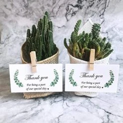 Winlyn 100 Pcs Table Name Place Cards Bulk White Blank Place Cards Floral Greenery Eucalyptus Tented Place Cards Seating Assignment Escort Cards - 3.5" X 2" Wedding Baby Shower Christmas Dinner Party -Generic Furniture Shop 51MdrRLvrAL