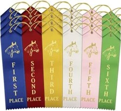 RibbonsNow Horse Show Ribbons 1st - 6th Place - 72 Total Ribbons - 12 Each Place With Card & String 17 RibbonsNow Horse Show Ribbons 1st - 6th Place - 72 Total Ribbons - 12 Each Place With Card & String -Generic Furniture Shop 51VGEhUw6XL. AC