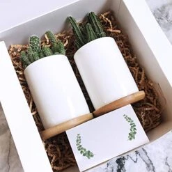 Winlyn 100 Pcs Table Name Place Cards Bulk White Blank Place Cards Floral Greenery Eucalyptus Tented Place Cards Seating Assignment Escort Cards - 3.5" X 2" Wedding Baby Shower Christmas Dinner Party -Generic Furniture Shop 51h2M7yoqcL