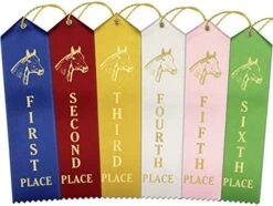 RibbonsNow Horse Show Ribbons 1st - 6th Place - 72 Total Ribbons - 12 Each Place With Card & String 15 RibbonsNow Horse Show Ribbons 1st - 6th Place - 72 Total Ribbons - 12 Each Place With Card & String -Generic Furniture Shop 51nGtnA2uzL. AC