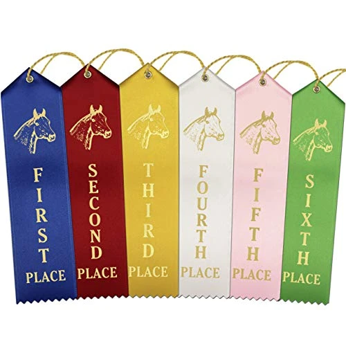 RibbonsNow Horse Show Ribbons 1st - 6th Place - 72 Total Ribbons - 12 Each Place With Card & String 1 RibbonsNow Horse Show Ribbons 1st - 6th Place - 72 Total Ribbons - 12 Each Place With Card & String
