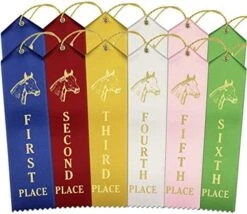 RibbonsNow Horse Show Ribbons 1st - 6th Place - 72 Total Ribbons - 12 Each Place With Card & String 16 RibbonsNow Horse Show Ribbons 1st - 6th Place - 72 Total Ribbons - 12 Each Place With Card & String -Generic Furniture Shop 51tJGhFZtML. AC